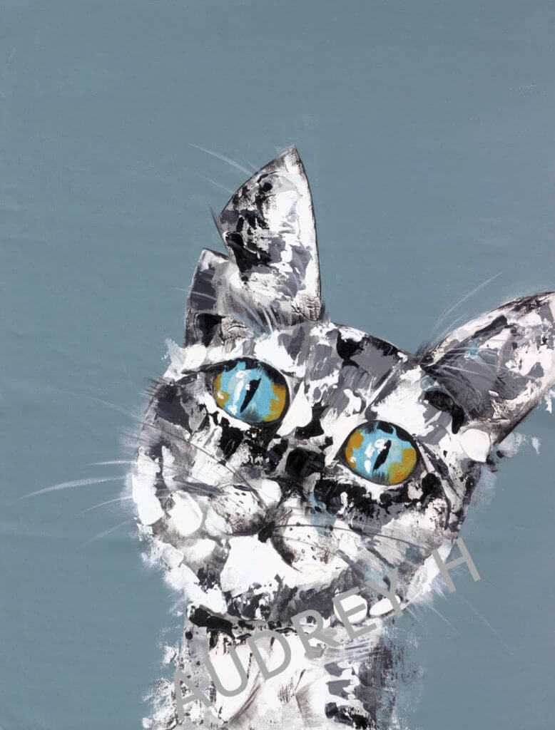 HIS CAT